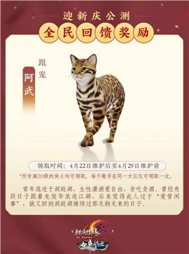 新开天龙八部私服cn